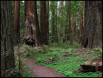 Along the path