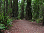 Along the path
