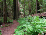 Along the path we took
