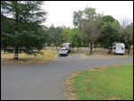 Our site