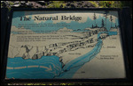 Diagram explaining the lava tube