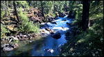 Looking downstream towards the bridge