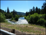 Looking up the Rogue River