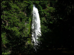 Mill Creek Falls