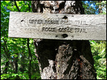 Trail marker...old one