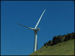 Lots of wind turbines up the gorge