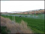 Circle farms sprinker system