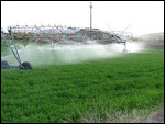 Circle farms sprinker system