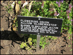 an example of the detailed signs