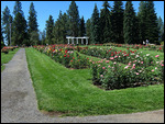 From one side of the Rose Garden