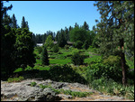 Overview of flower garden