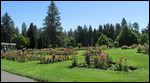 Partial view of the Rose Garden