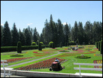The Duncan Garden