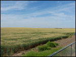 Washington countryside
