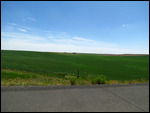 Washington countryside