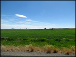 Washington countryside