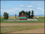 Gorgeous farm