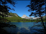 Birding hike views