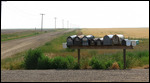 Out for a ride north of town