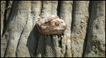 Some odd geologic formation