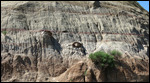 Sedimentation layers