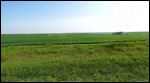 North Dakota countryside. Alfalfa