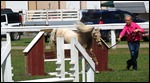 Jumping competition