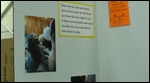 Children's displays