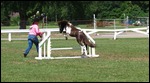 Jumping competition