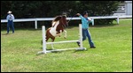 Jumping competition