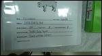 Children's displays