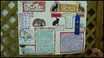 Children's displays