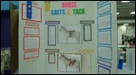 Children's displays