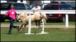 Jumping competition