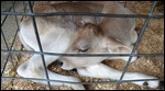 Just born