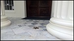Jefferson Davis took the oath on the star
