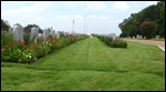 Royal Air Force Gravesites