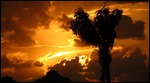 Famous sunsets