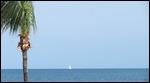 A lone sailboat on the horizon