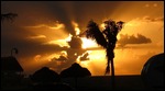 Famous sunsets