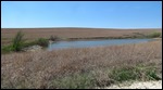 Lake along the trail