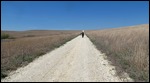 One of many miles of trails
