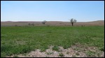 Vistas
