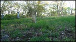 Cemetery