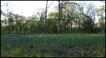Cemetery
