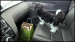 Katie at Walmart, waiting for Mom