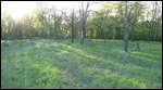 Cemetery
