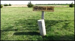 for Country Dogs