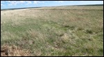 Ruts