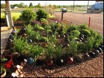 Bowling ball yard art
